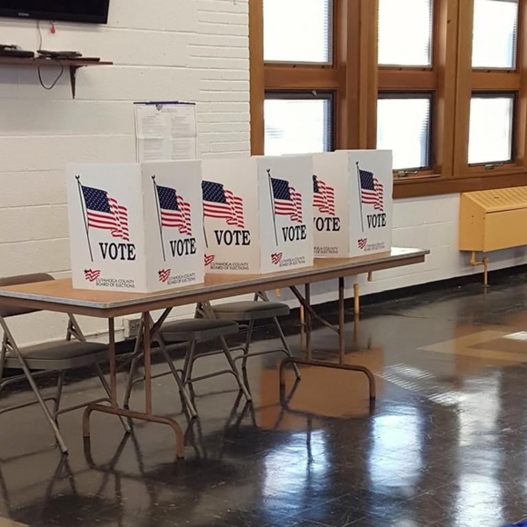 Voting booths in Cleveland Heights, Ohio, for the general election held on November 3, 2015. © 2015 Tim Evanson (CC BY-SA 2.0)