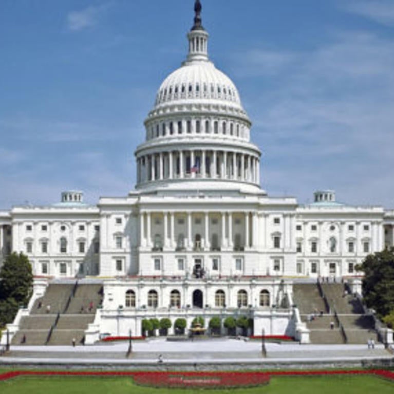 Image of US Capitol Building