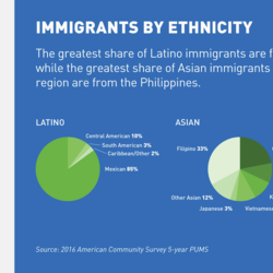 Immigrants by Ethnicity