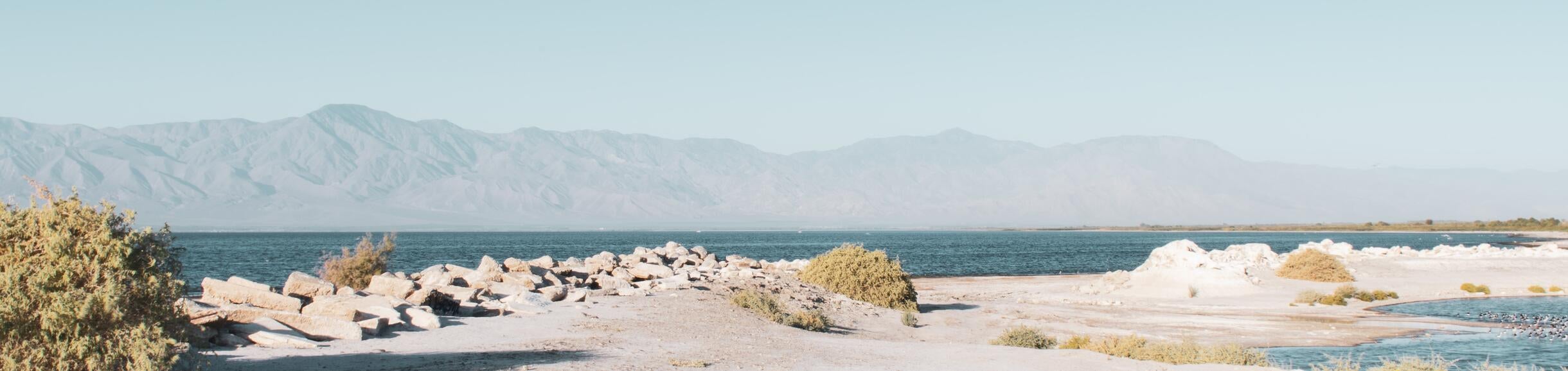 Salton Sea