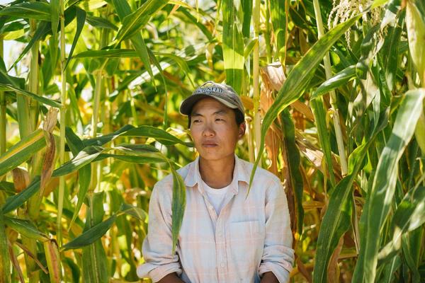 Kristyn Leach, who runs Namu Farm in the Sacramento Valley, started a community-supported agriculture program to provide local Asian American families with culturally-relevant produce.