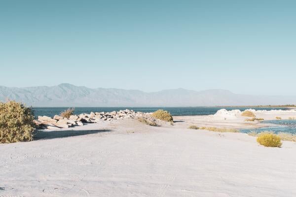 Salton Sea