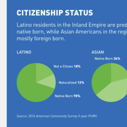 Citizenship by Race