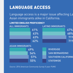 Language Access