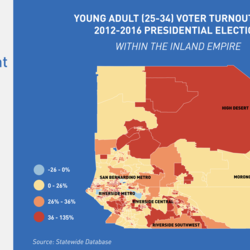 Young Adult Voter Turnout